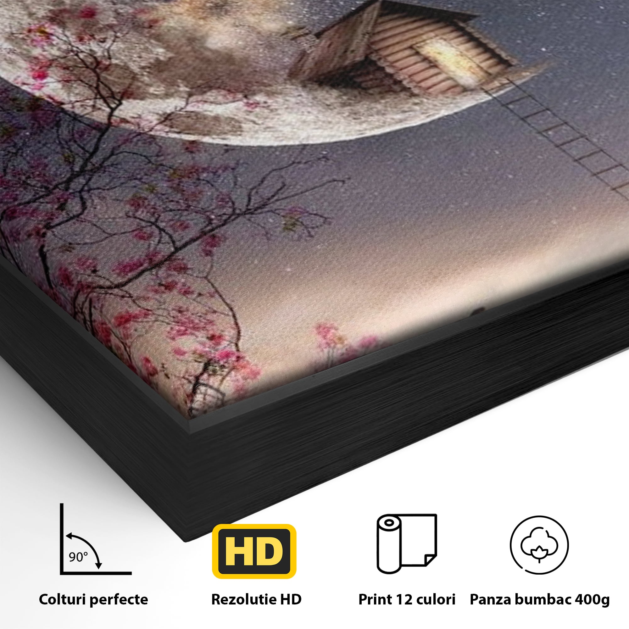 Detaliu al suprafetei: ilustratie digitala cu casa pe luna, in rama de aluminiu negru